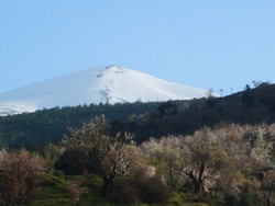 gite alpujarra