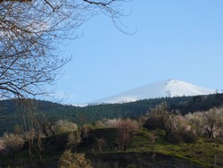 proche du gite : Alpujarras